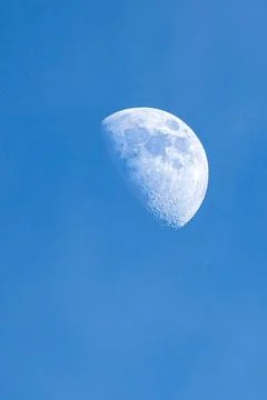 The moon in a blue sky, seen from below with only a tiny cloud Stock Photos