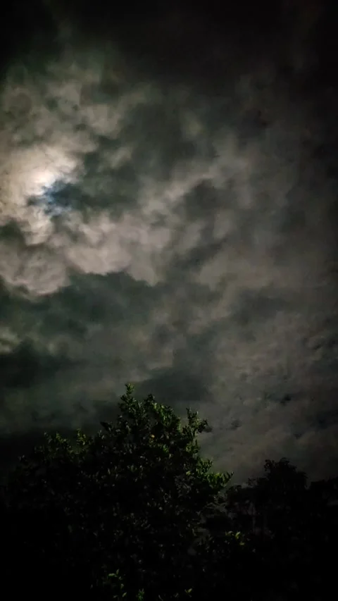 Moon Breaks Through Storm Clouds Over Treeline Video stock 316794734