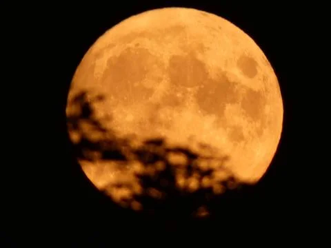 Moon Close-Up with Tree Stock Photos