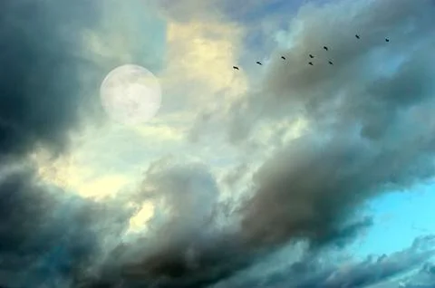 Moon Clouds Birds Stock Photos