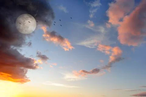 Moon Clouds Birds Stock Photos