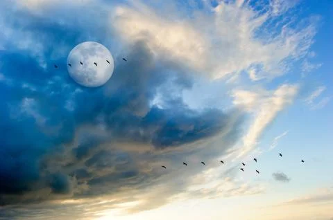 Moon Clouds Birds Stock Photos