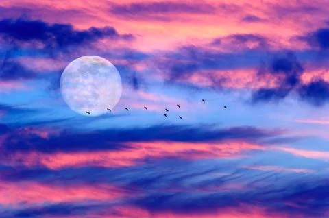 Moon Clouds Birds Stock Photos