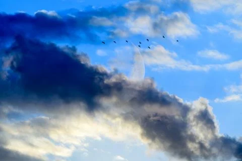 Moon Clouds Birds Stock Photos