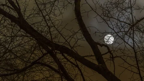 The moon in the cloudy sky, Stock Footage 114731613