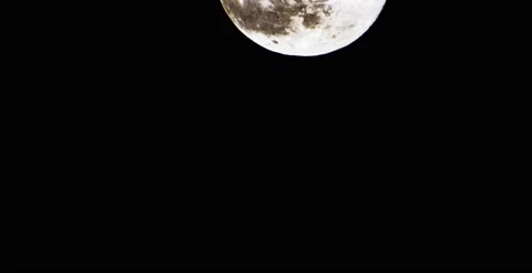Moon Crawl 7 Stock Footage 186372446