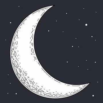 Moon Crescent Vector Illustration Minimal Flat Ni vector illustration design  Stock Illustration