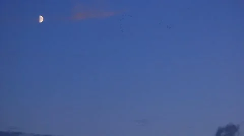 The Moon in a dark blue sky Stock Footage 53160920