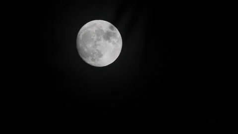 MOON DARK NIGH WITH SOFT DEFOCUS PALM TREE Stock Footage 144615444