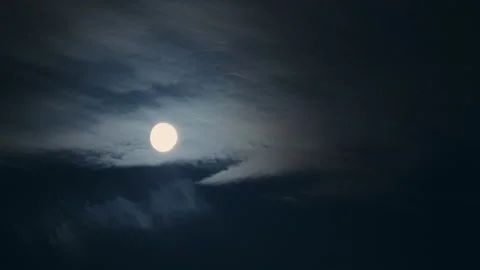 Moon dark night evening clouds forest mountains full mist halloween Stock Footage 217368768