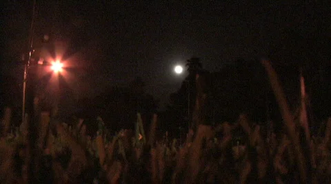 Moon On Dark Night Stock Footage 140642