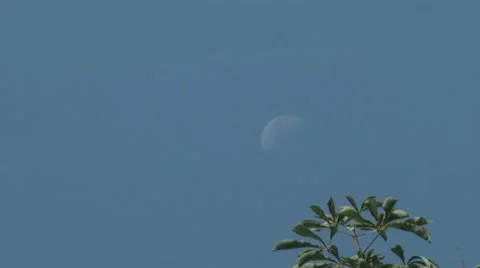 Moon day. Stock Footage 7746748