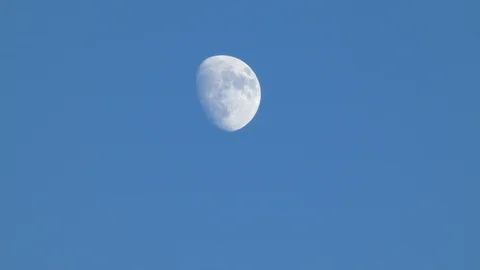  the moon at day Stock Footage