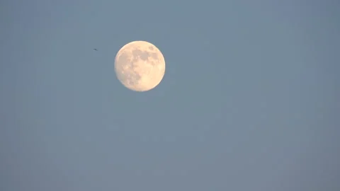 Moon by day in the sky Vídeo Stock 100896716