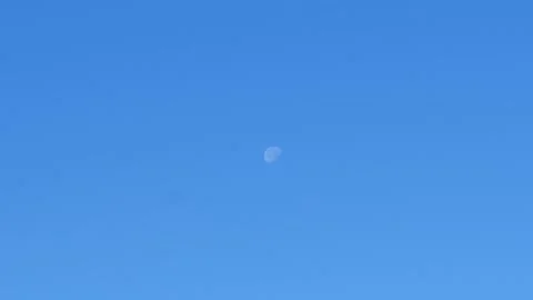 Moon in daylight Stock Footage 159656035