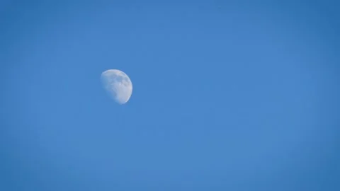 Moon in daylight Video stock 221197089