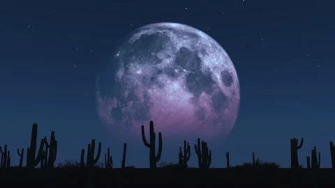 Moon - Desert Video stock 139119749