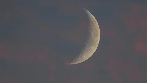 Moon detailed closeup Stock Footage 98845649