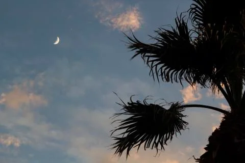 Moon on dramatic sunset sky with clouds Stock Photos