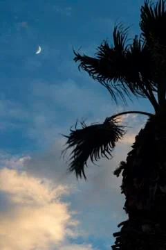 Moon on dramatic sunset sky with clouds Stock Photos
