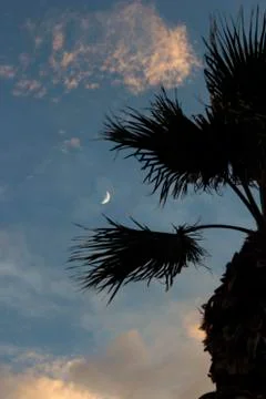 Moon on dramatic sunset sky with clouds Stock Photos