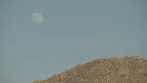Moon during the day Stock-Footage 73763099