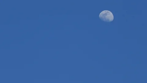 Moon during daylight Stock Footage 96130920