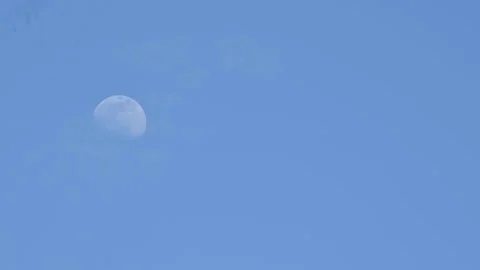 Moon during early evening 库存影片 242638522