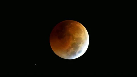 Moon During a Lunar Eclipse Stock Footage 222686045
