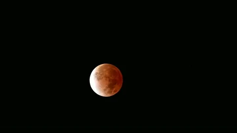 Moon During a Lunar Eclipse November 2021 Stock Footage 205584916