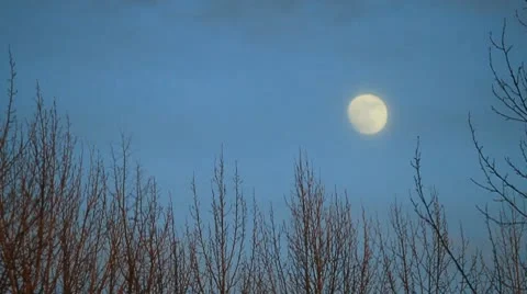 Moon at dusk Stock Footage 10755034