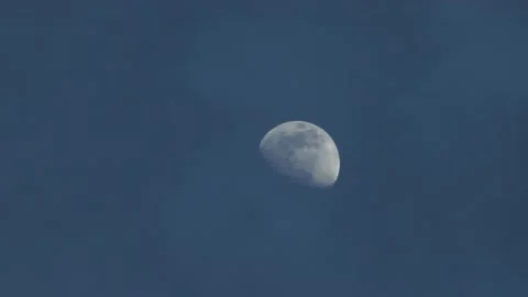 Moon at dusk Stock Footage 232168263