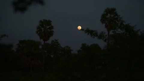 Moon in Dusk Stock Footage 263807042