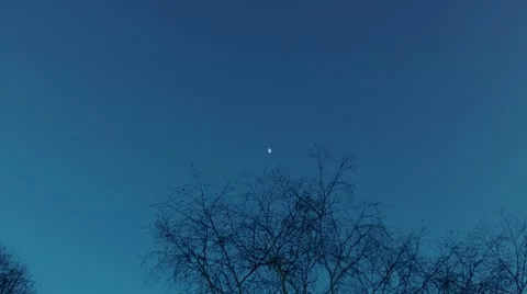 The moon in the early winter evening on the clear blue sky Stock Footage 12320292