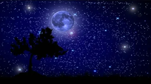 Moon end tree at night Stock After Effects