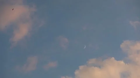 The moon in the evening sky. Clouds floating in the sky at sunset Stock Footage 131451509