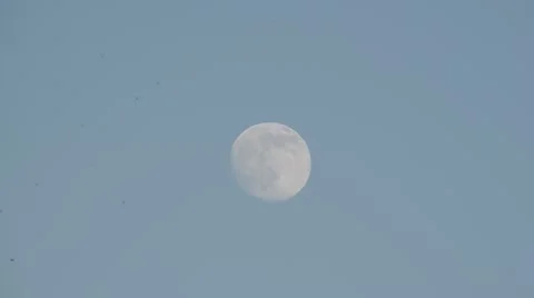 Moon is in evening sky Video stock 52750729