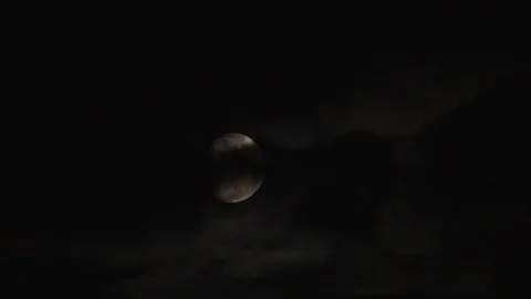 The moon floats in the night sky Stock Footage 116431168