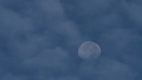 Moon in the Florida Sky 스톡 동영상 249567340