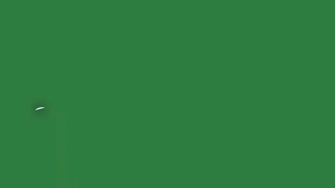 Moon Flying With Bird On Green Screen Chroma Key Background Stock Footage 338015868