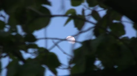 Moon Stock-Footage 2170925