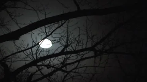 Moon 库存影片 8970806