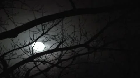 Moon 库存影片 8971584