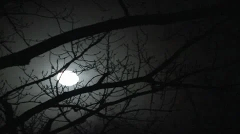 Moon 库存影片 8979449