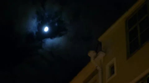 Moon 動画素材 10820863