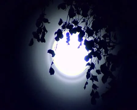Moon Stock Footage 12260594