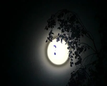 Moon Stock Footage 12260595