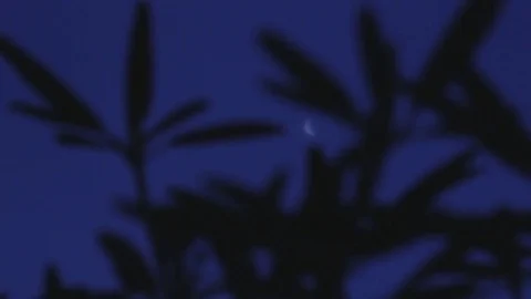 The Moon Stock Footage 77100087