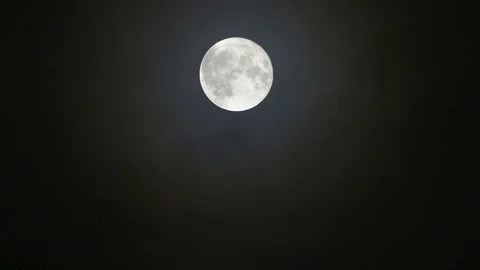 Moon Stock Footage 79800818