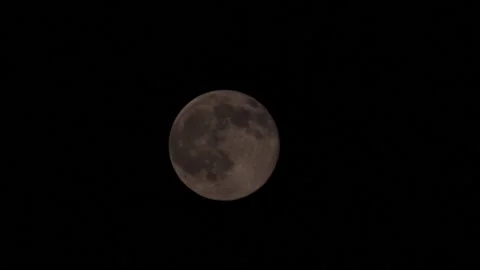 Moon Stock Footage 195451531